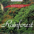Rainforest - Rainforest: Stillness