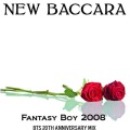 Fantasy Boy 2008 (20th Anniversary Mix)