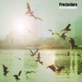 PreciseHero - Upswing Social
