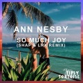 Shap & LRX、Ann Nesby - So Much Joy (Shap & LRX Remix)