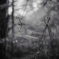 Dmitry Evgrafov - Storms In Helsinki