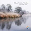 Soulalive - The Parallel World