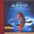 音和思琴乐团 - 万马奔腾