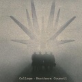College - Incident