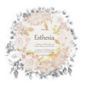 Mintea - Esthesia (SCENE [white out])