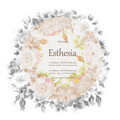 Mintea - Esthesia