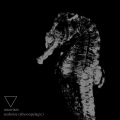 Uncertain - Black Waters Rising