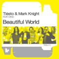 Beautiful World (The Ecstasy Remixes)