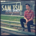 Little Things (prod. by Kurt Schneider)