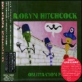 robyn hitchcock - Let the Sun Begin