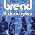 david gates - Overnight Sensation