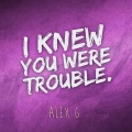 I Knew You Were Trouble (Single Version)