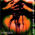 Marquis - Can I Have A Kiss?