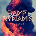 Qulinez - Dynamic