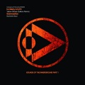 S.P.Y、S.P.Y.、Marky - Yellow Shoes (Calibre Remix)