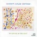 Santana - Love Theme from 