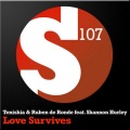 Love Survives (Big Room Mix)