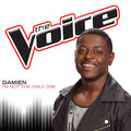 Damien - I’m Not the Only One