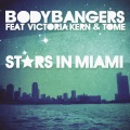 Stars In Miami (Radio Edit)