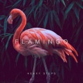 Flamingo - Heavy Steps (Original Mix)