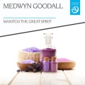 Medwyn Goodall - Blue Jay