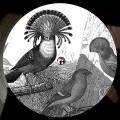 Anna Lunoe、touch sensitive - Real Talk
