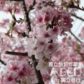 贾立怡 - A Brand New Day