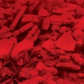 JAM CITY - The Garden Thrives