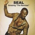 Seal - Amazing