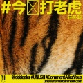 庄冬昕 - 今晚打老虎