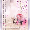 河图、徒有琴 - 藤萝月