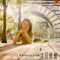 邓丽君 - The Power Of Love