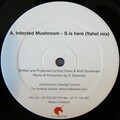 Infected Mushroom - S Is Here (Yahel Remix)