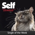self - Runaway