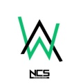 Alan Walker - Force