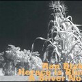 Ran Blake - Horace Is Blue