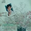 陈秀慧 - 难忘初恋的情人