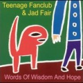Teenage Fanclub、Jad Fair - The Good Thing