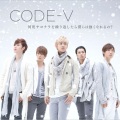 Code V - 14ヶ月