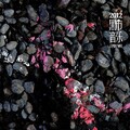 大象体操 - 日常的航道