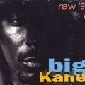 big daddy kane - Ooh,Aah,Nah-Nah-Nah (Master Mix)