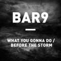 BAR9 - What You Gonna Do