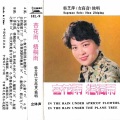 韩芝萍 - 风筝