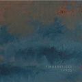 Tindersticks - Guelles cassees