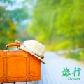 沈华夏 - 白月光