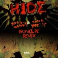 Ray Volpe - Hide (Ray Volpe Remix)