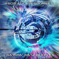 Somatic Responses - Magnetic Wilson