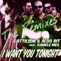 Attilson & Aldo Bit、Daniele Meo - I Want You Tonight
