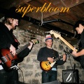 superbloom - Always with My Friends