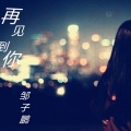 邹子鹏 - 再见到你